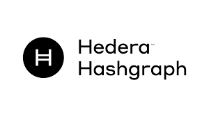 Hedera network visualization with connected nodes